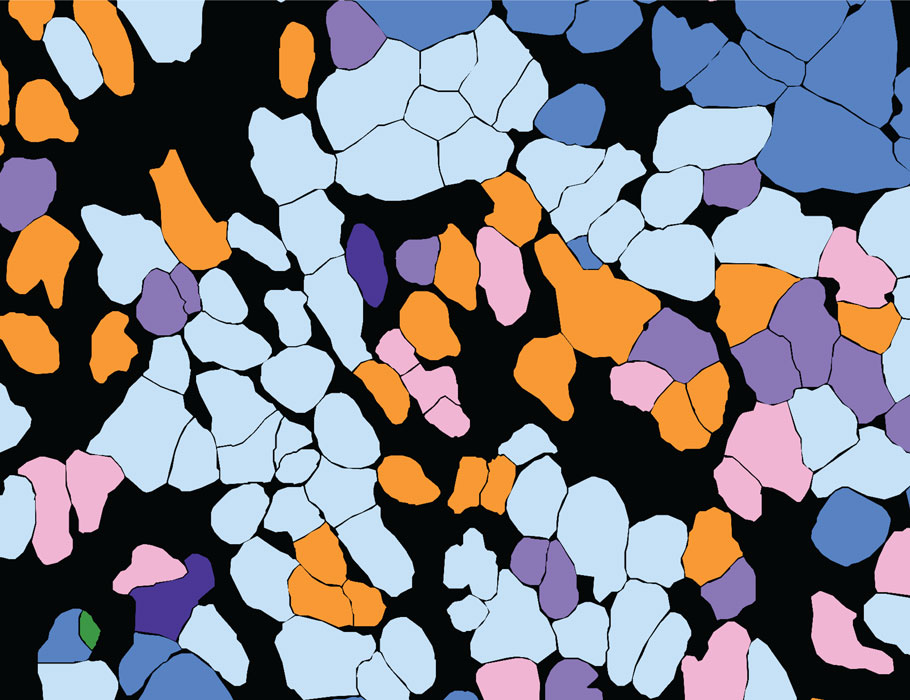 Science Immunology tweet media