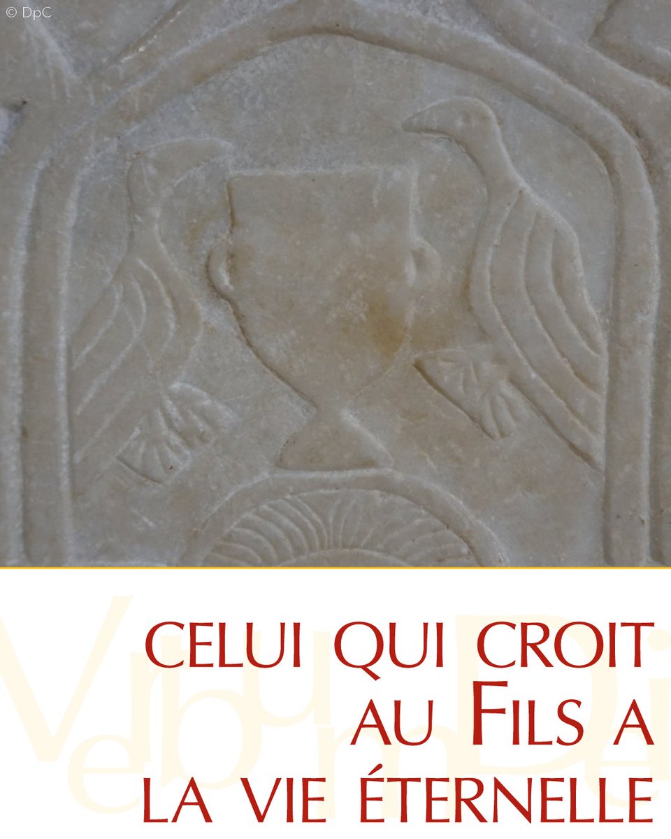 📜 Évangile du jour | Jeudi 16 avril
(Jn 3, 31-36)

«Celui que Dieu a envoyé dit les paroles de Dieu,
car Dieu lui donne l’Esprit sans mesure».
 → urlr.me/JjCFUN