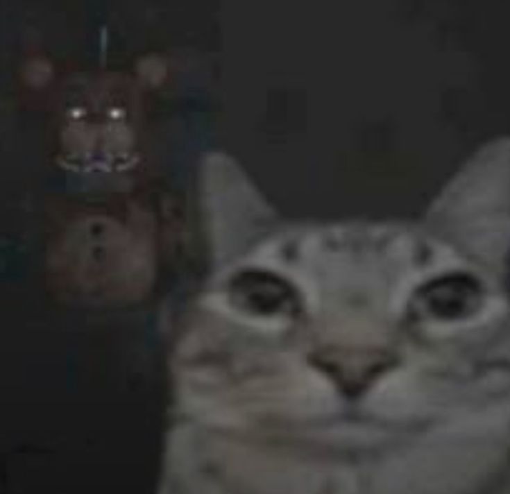 — ari. tweet media