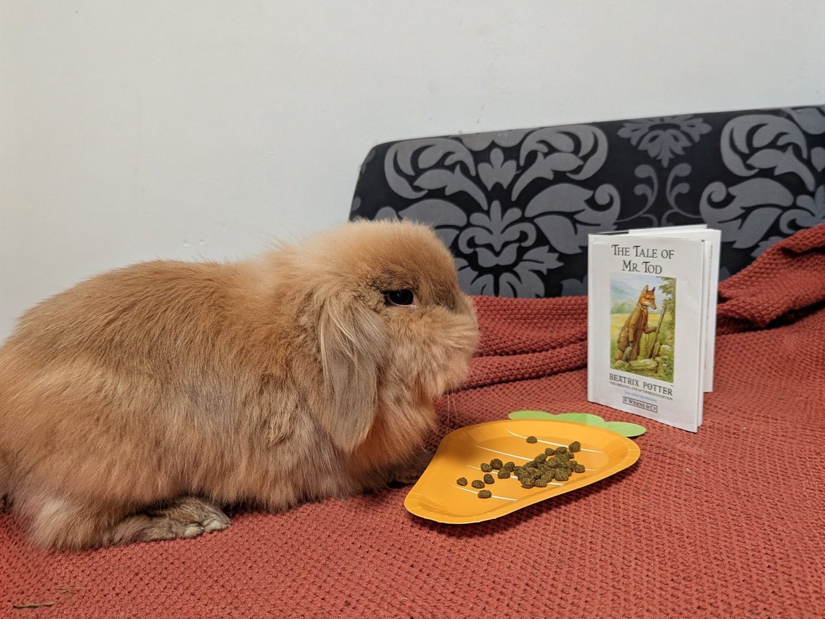 Only Fawns tweet media