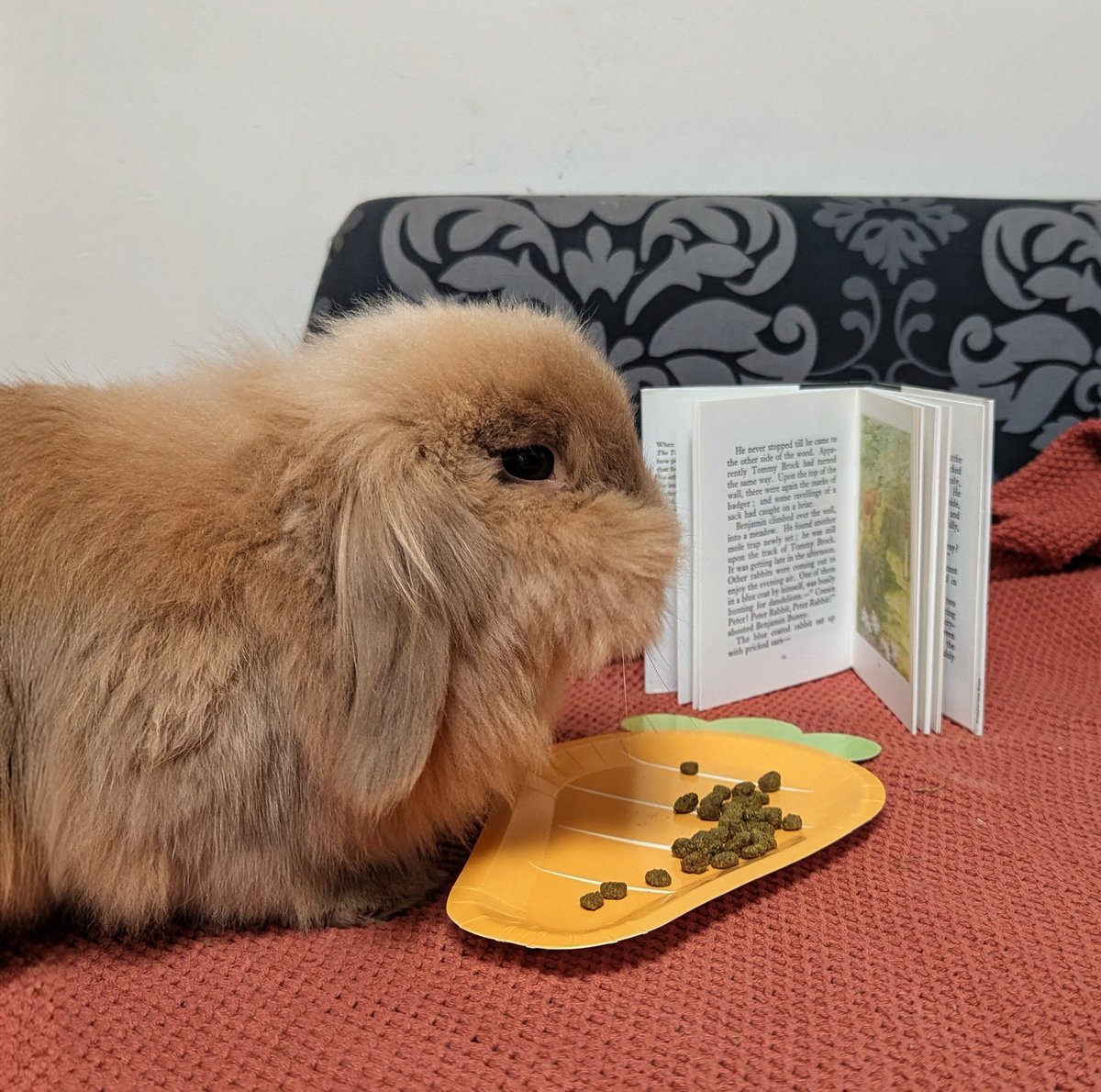 Only Fawns tweet media