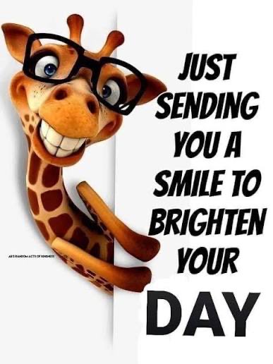 suZBgood @ suzreilly tweet media