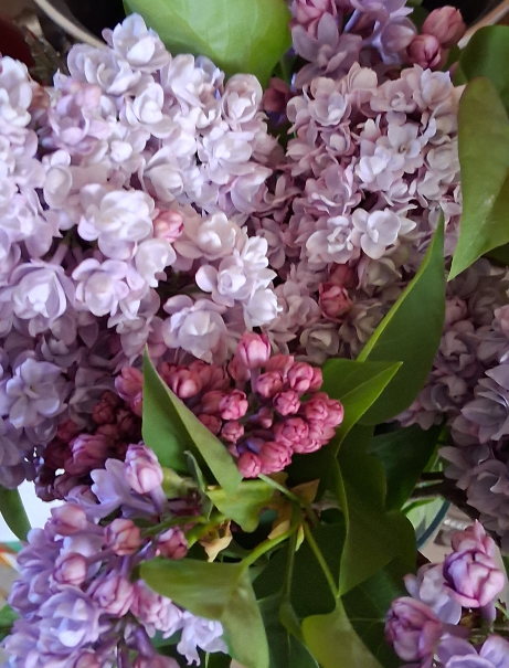 AgatheIrene's tweet image. Pur #printemps.