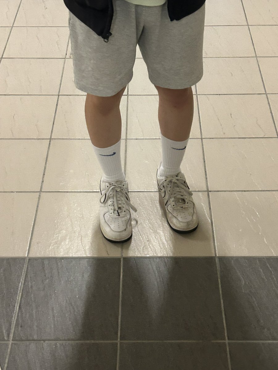 🪨🍄‍🟫 tweet media