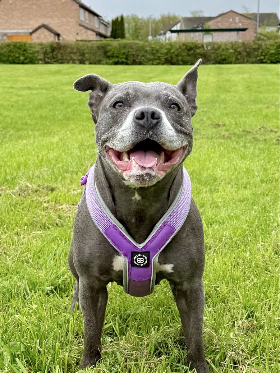 Isa Mary tweet media