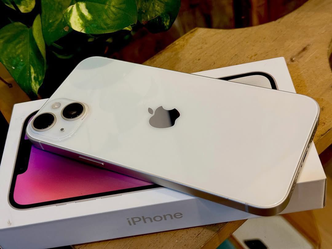 Luffa. 😈 tweet media