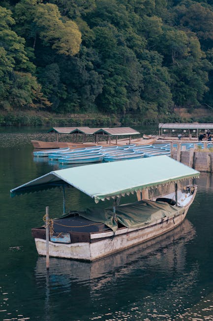 Christine Hammond tweet media