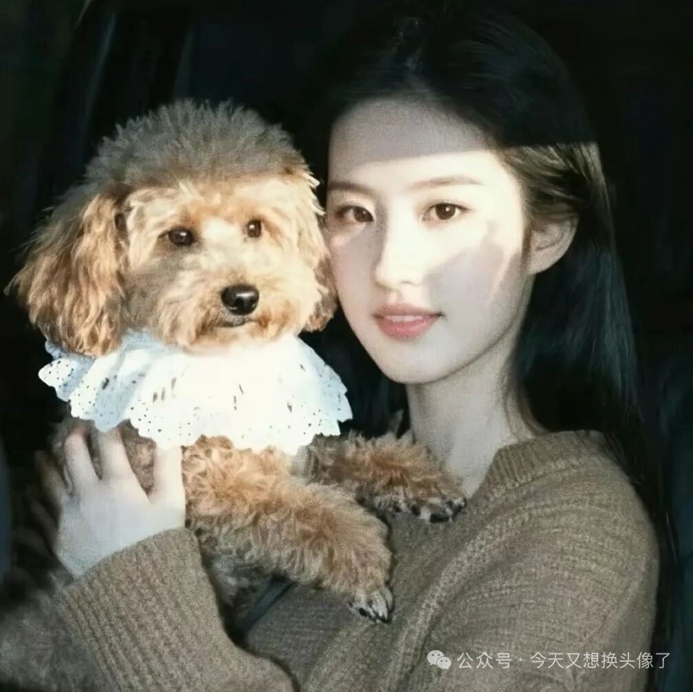 夏雪宜 tweet media