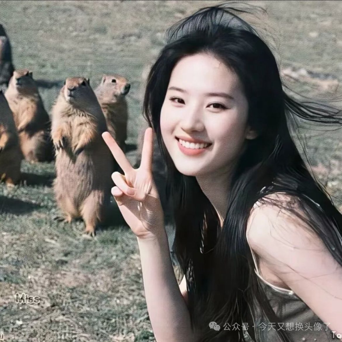 夏雪宜 tweet media