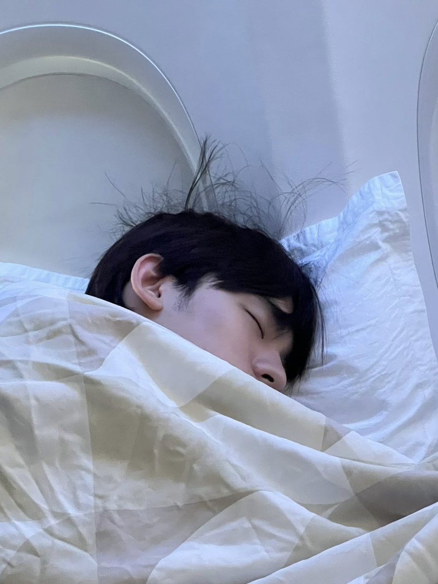 duang with ana ౨ৎ tweet media