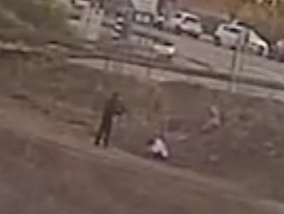 Dr. Eli David tweet media