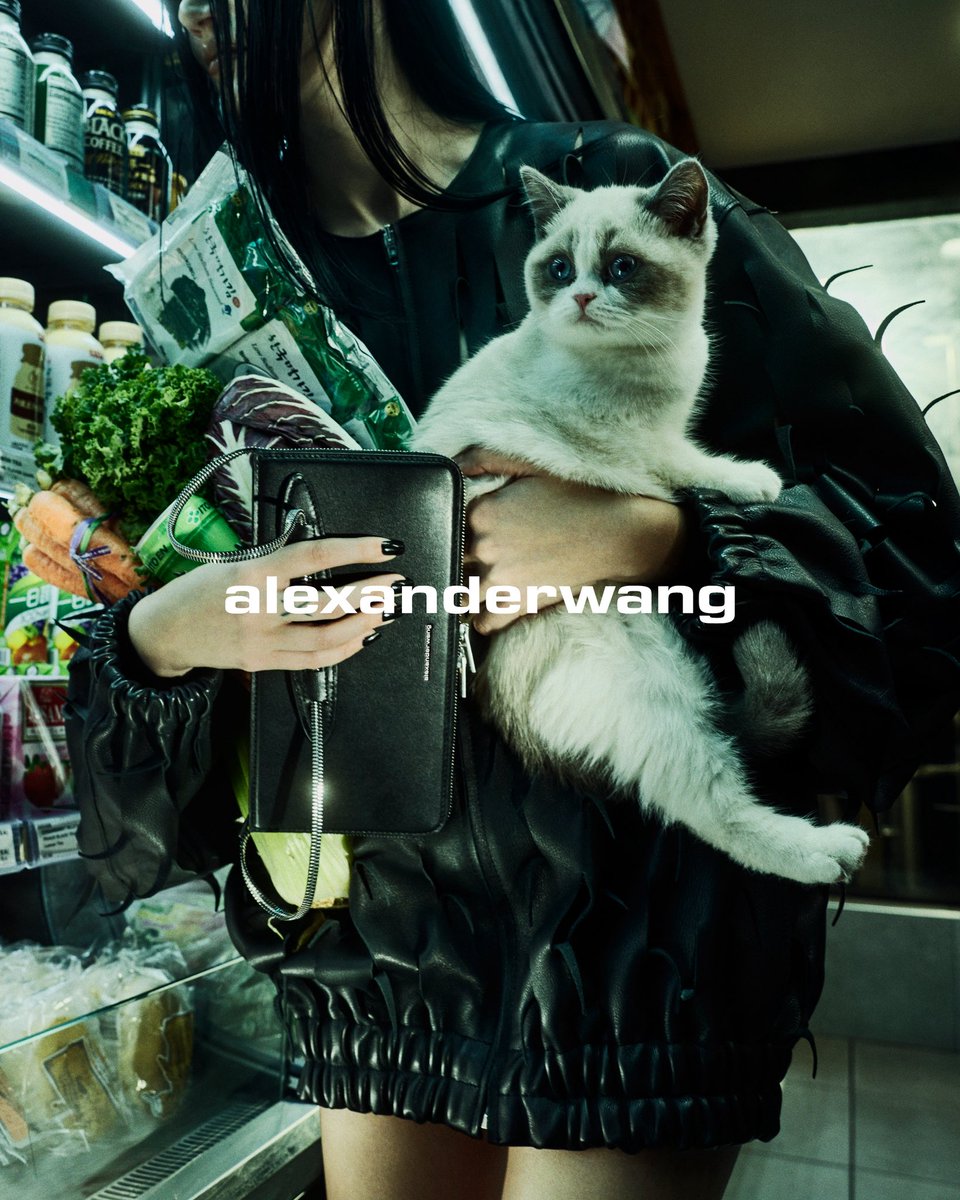 alexanderwang tweet media