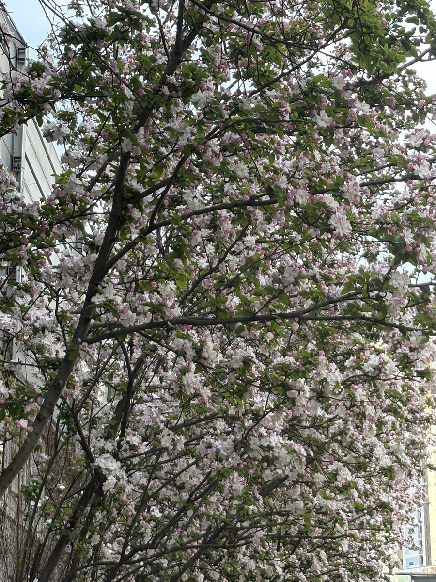 뉴구ෆ내트친소를님이눌러서찾아간거임 tweet media