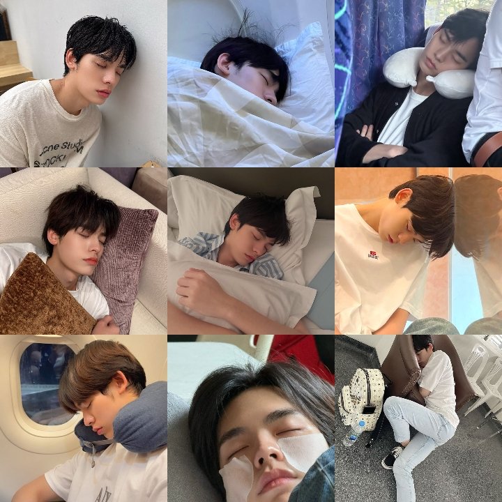 avi with you 🐋 tweet media