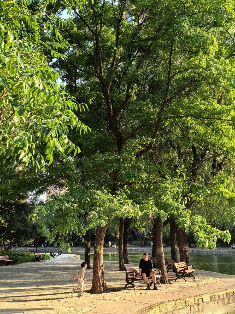 Ethan Leefe tweet media