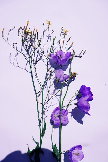 Jerry Rodriguez tweet media