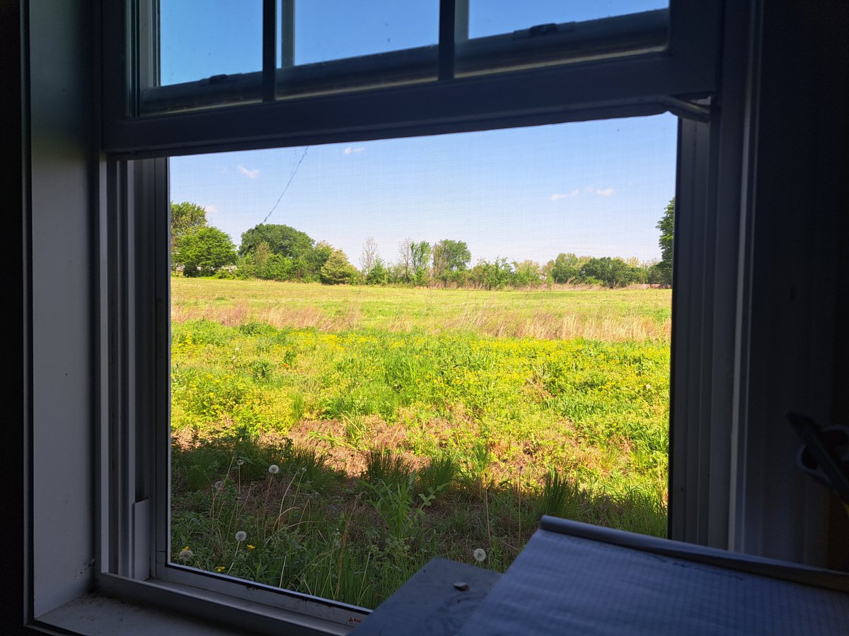 Pausing software building to mow the pasture if way better than living in a city. Tractor time and wildflowers are important.
