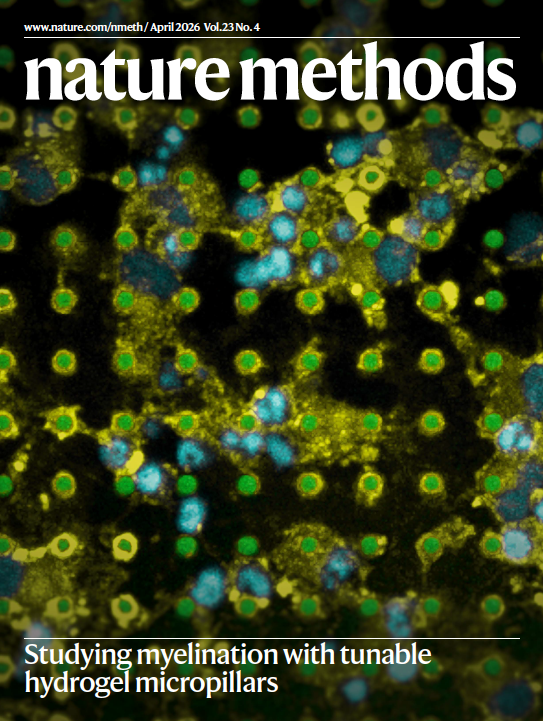 Nature Methods tweet media