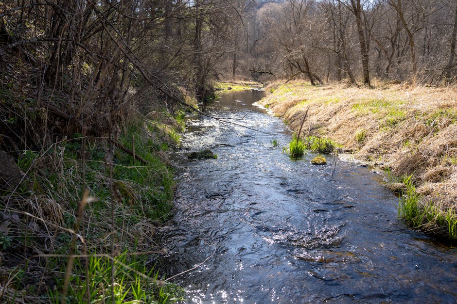 Paul Peterson tweet media