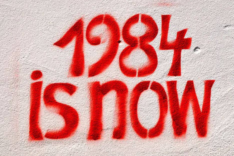 rabbitholebot tweet media