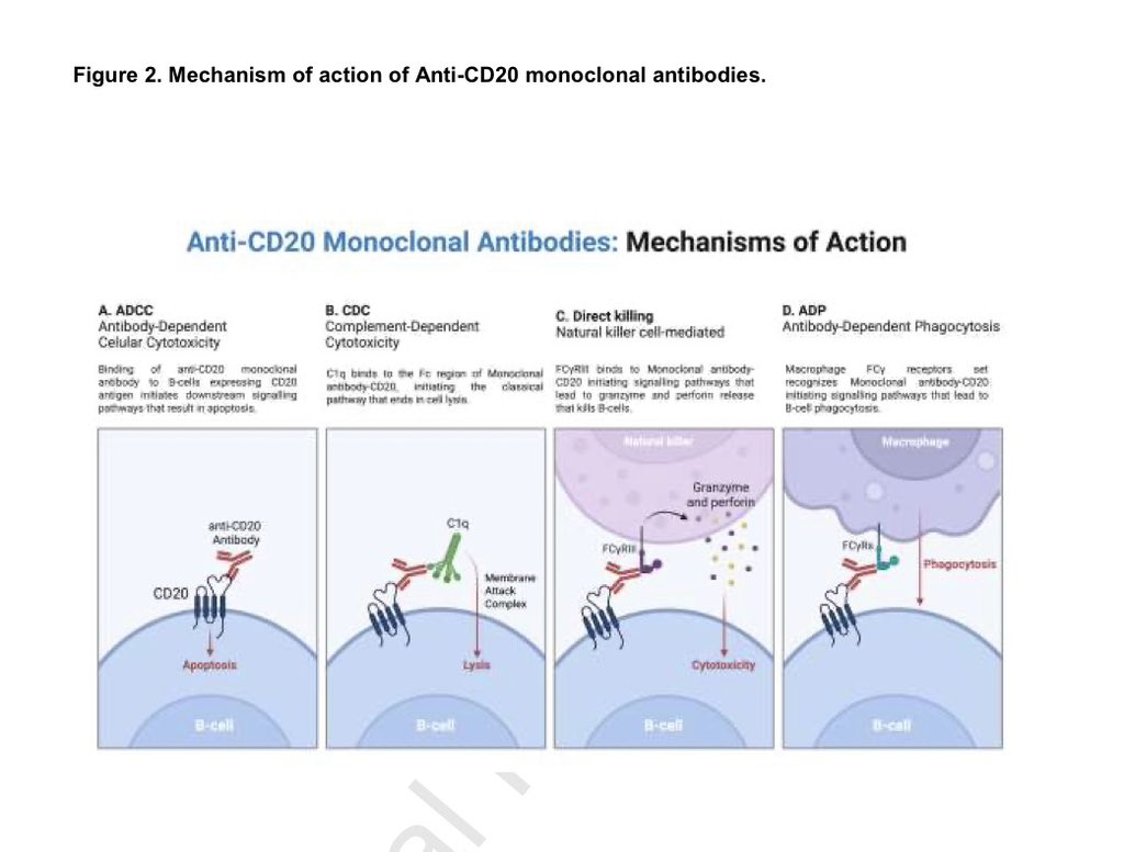 Les comparto nuestro Artículo de Revisión ya en línea:
“Anti-CD20 Monoclonal Antibodies in Membranous Nephropathy”

Con un gran equipo de nefrólogos del <a href="/hgm_nefrologia/">NefrologíaHGM</a> 🇲🇽, <a href="/hospitalclinic/">Hospital Clínic</a> 🇪🇸, 🇨🇱 y 🇺🇸 <a href="/LaurenceHBeckJ1/">Laurence H Beck, Jr</a> 

<a href="/SENefrologia/">S.E.N. Nefrología</a> 
Nefrología 2026 

sciencedirect.com/science/articl…