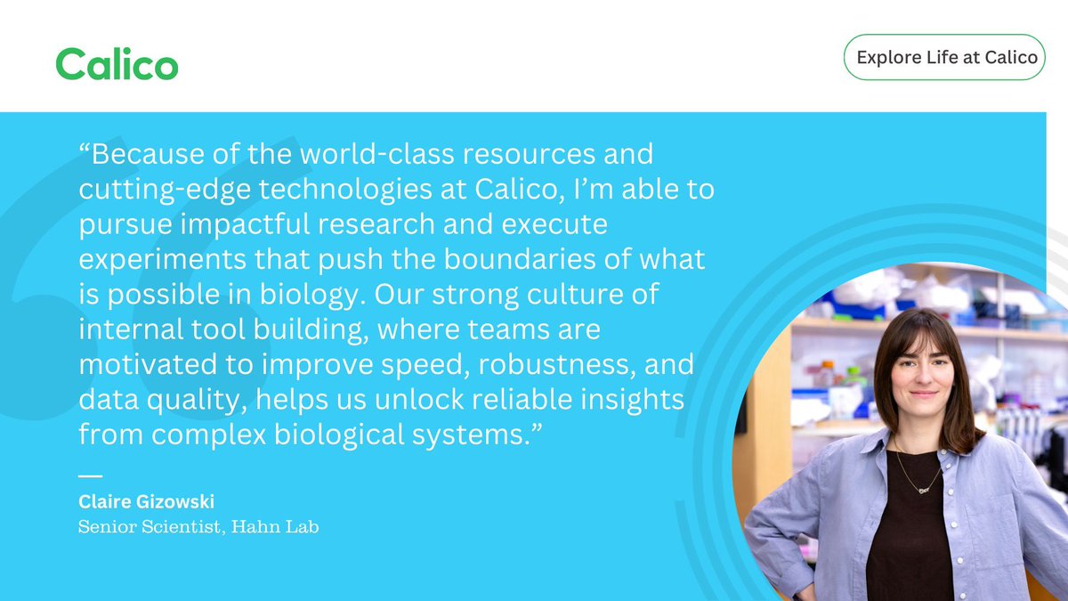 Calico tweet media