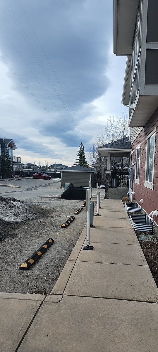 CanadianBro 🍁 tweet media