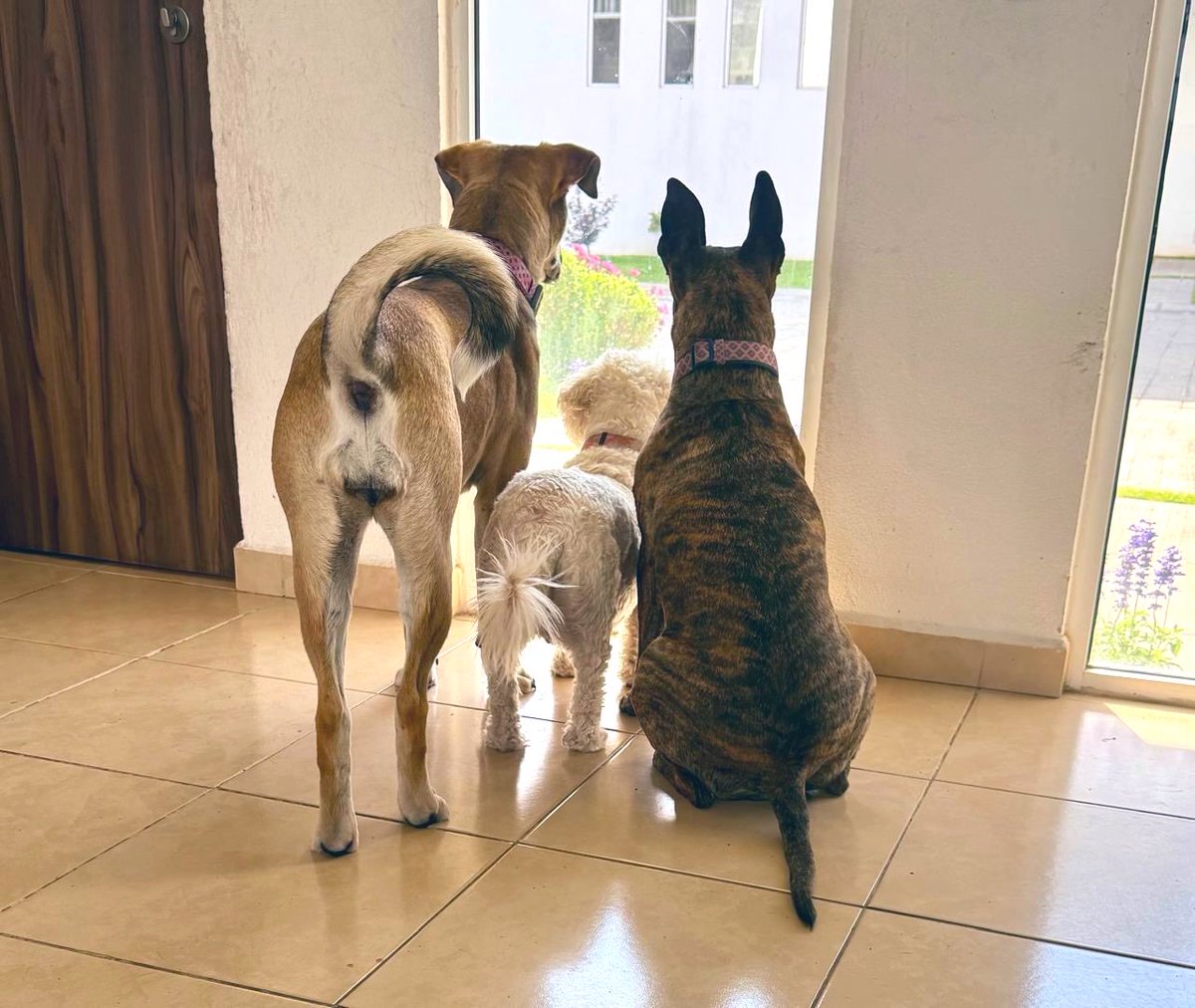 Valentina Gatti tweet media