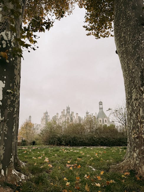 Amber Perez tweet media