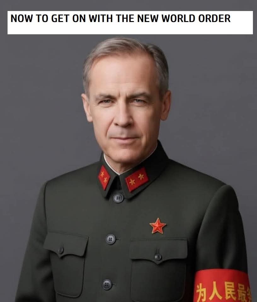 Michelle tweet media