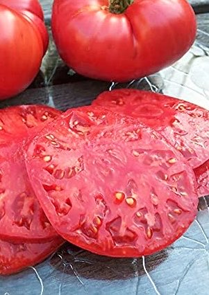 Yıldız Aliyeva tweet media