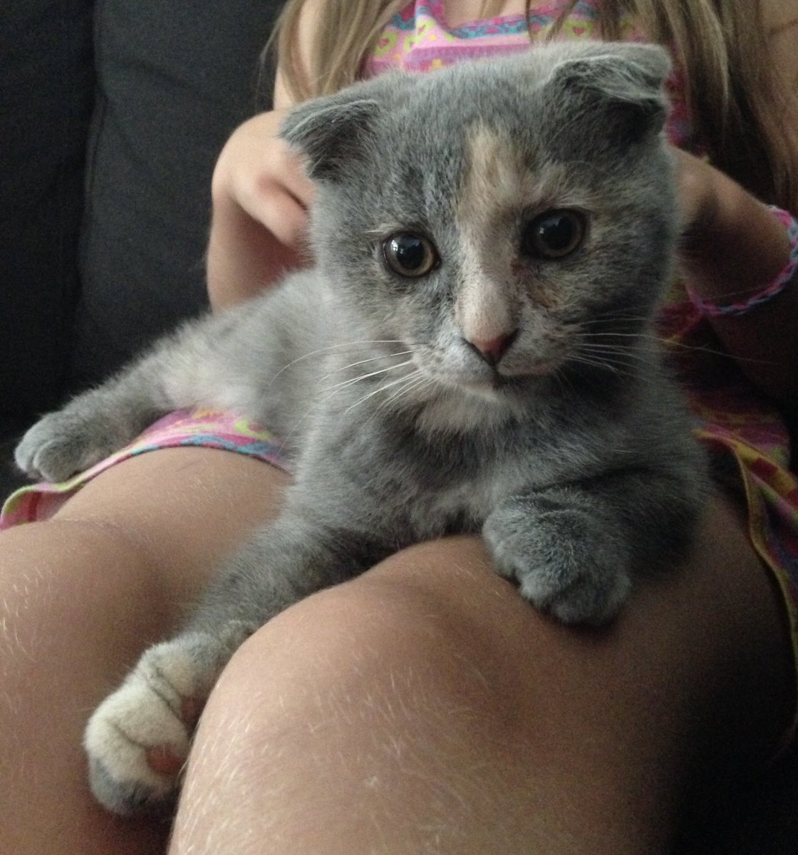 🍋 🏳️‍🌈Jenni tweet media