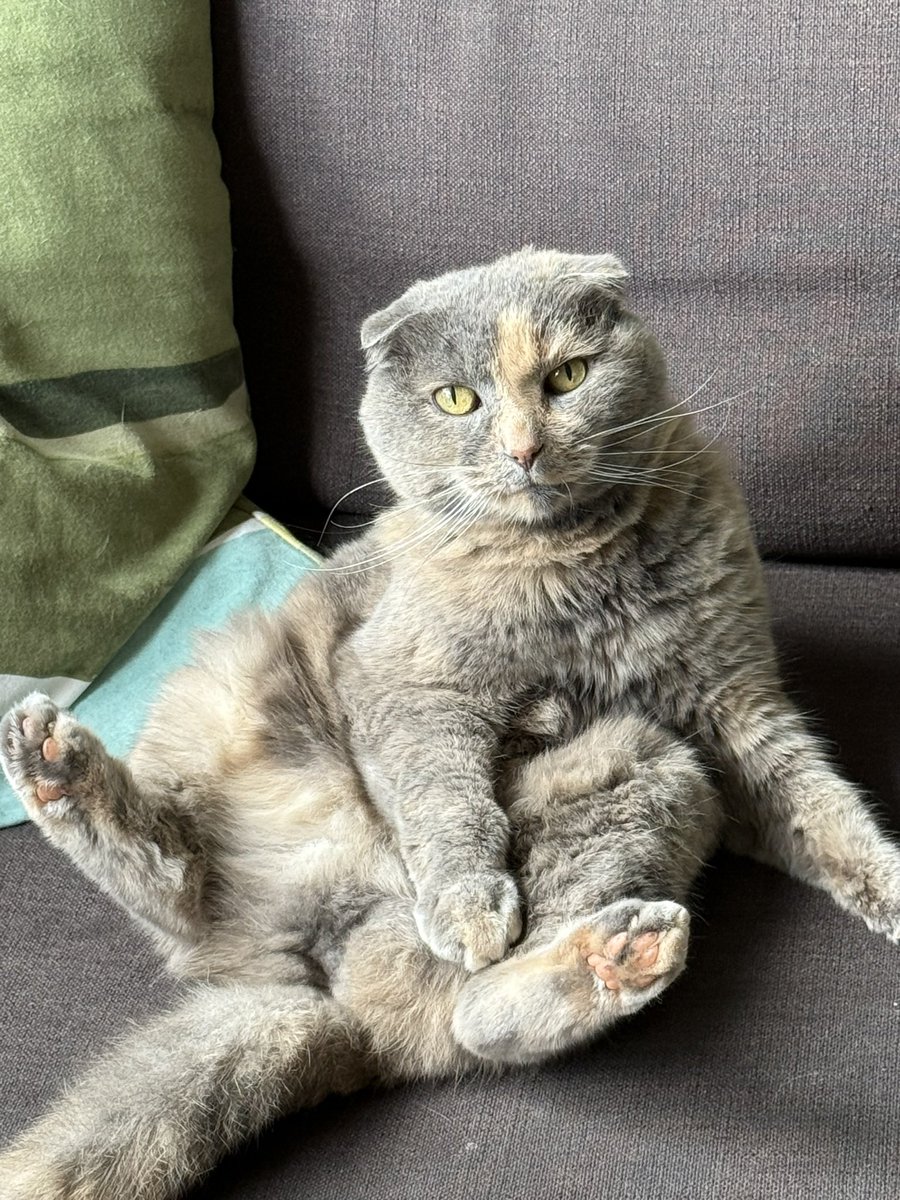 🍋 🏳️‍🌈Jenni tweet media