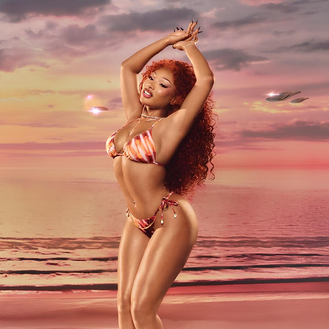 MEGAN THEE STALLION x WALMART 👙