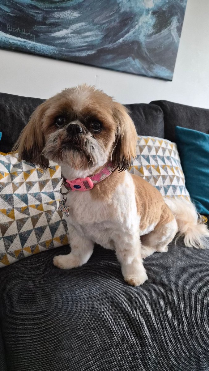 Bella🇬🇧 tweet media