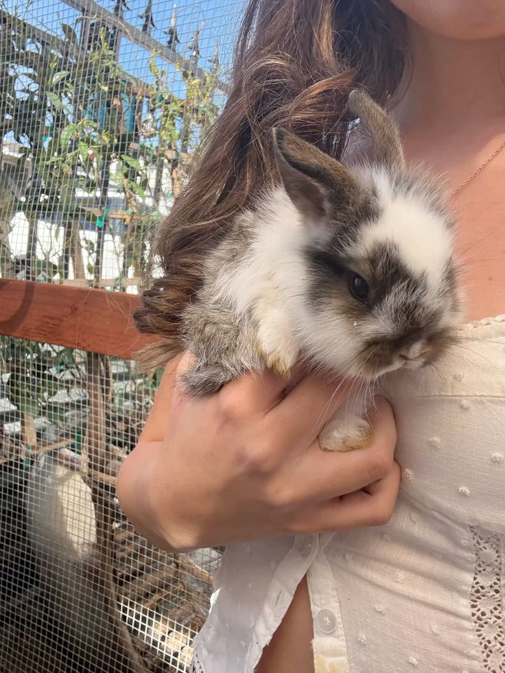 Amy ! 🌼 / conlimit lptm tweet media