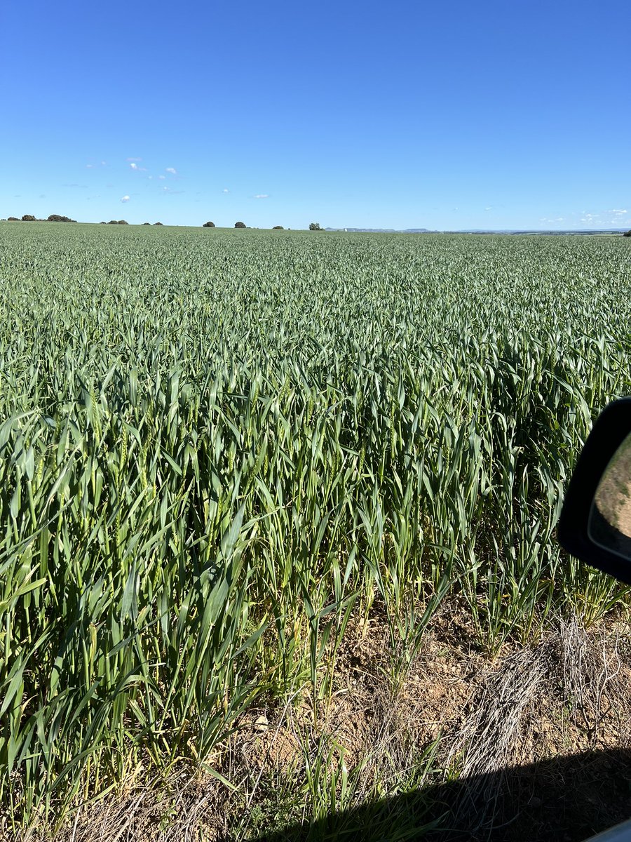 Y de aquí salen las galletas Cuétara