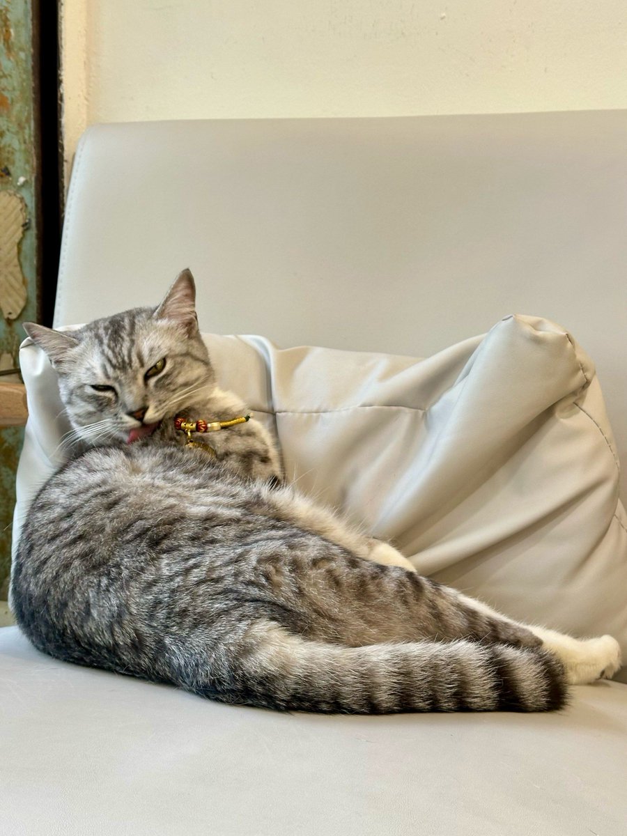 CASSONDRA WARE tweet media