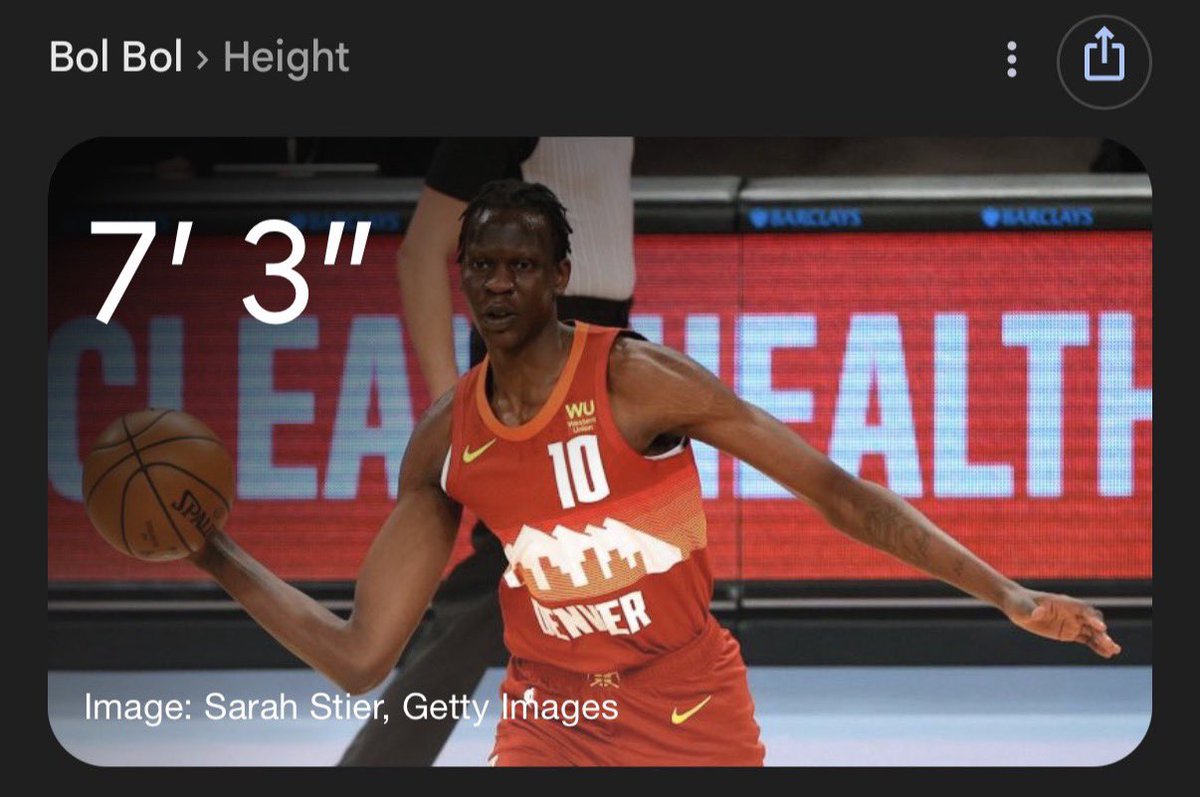 NetsMuse tweet media