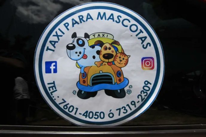 alertanoti's tweet photo. TAXI PARA MASCOTAS: EL EMPRENDIMIENTO SALVADOREÑO QUE NACIÓ EN PANDEMIA Y CONQUISTA CORAZONES

“Taxi para Mascotas” es un emprendimiento salvadoreño creado en 2020 por Rosa María y William Cubías, quienes, tras perder sus empleos durante la pandemia, decidieron ofrecer un servicio especializado para transportar animales de compañía.

La iniciativa surgió al notar las dificultades que enfrentaban las personas para movilizar a sus mascotas, convirtiéndose en una opción confiable para traslados a veterinarias, paseos, viajes y otros destinos dentro del país.

El servicio se caracteriza por brindar atención personalizada, priorizando la seguridad, higiene y bienestar de cada animal. Incluso, cuentan con la modalidad “Los Hacemos por Ti”, para quienes no pueden acompañar a sus mascotas.

Con el paso del tiempo, este proyecto ha ganado la confianza de sus clientes, posicionándose como una alternativa innovadora que combina transporte con cuidado y dedicación hacia los peluditos.
