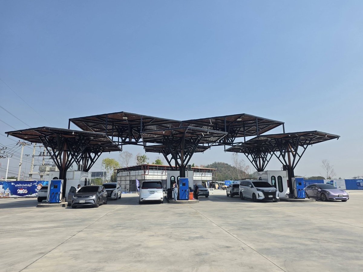 แม่กระต่ายพอพอ 🌼🌻 tweet media