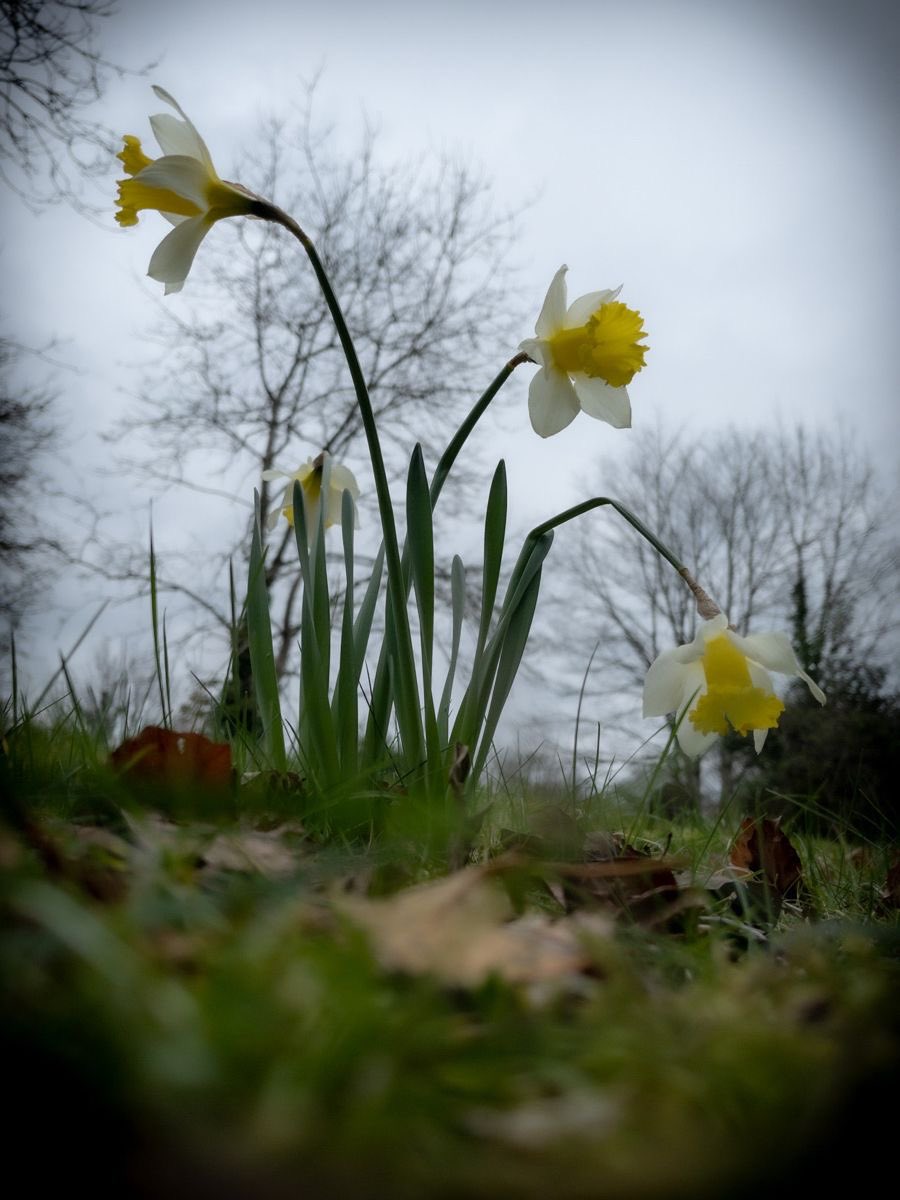 The Birdcage🪿 tweet media