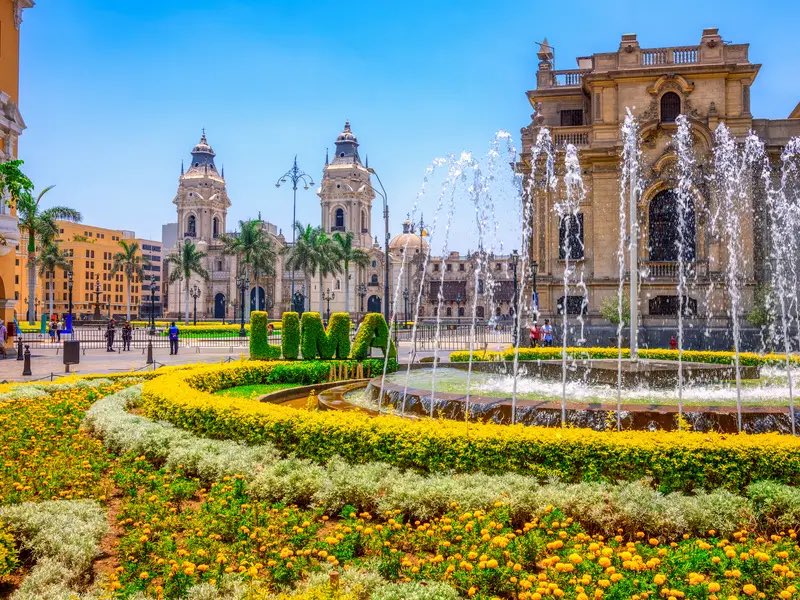 Claudio Ferraz tweet media