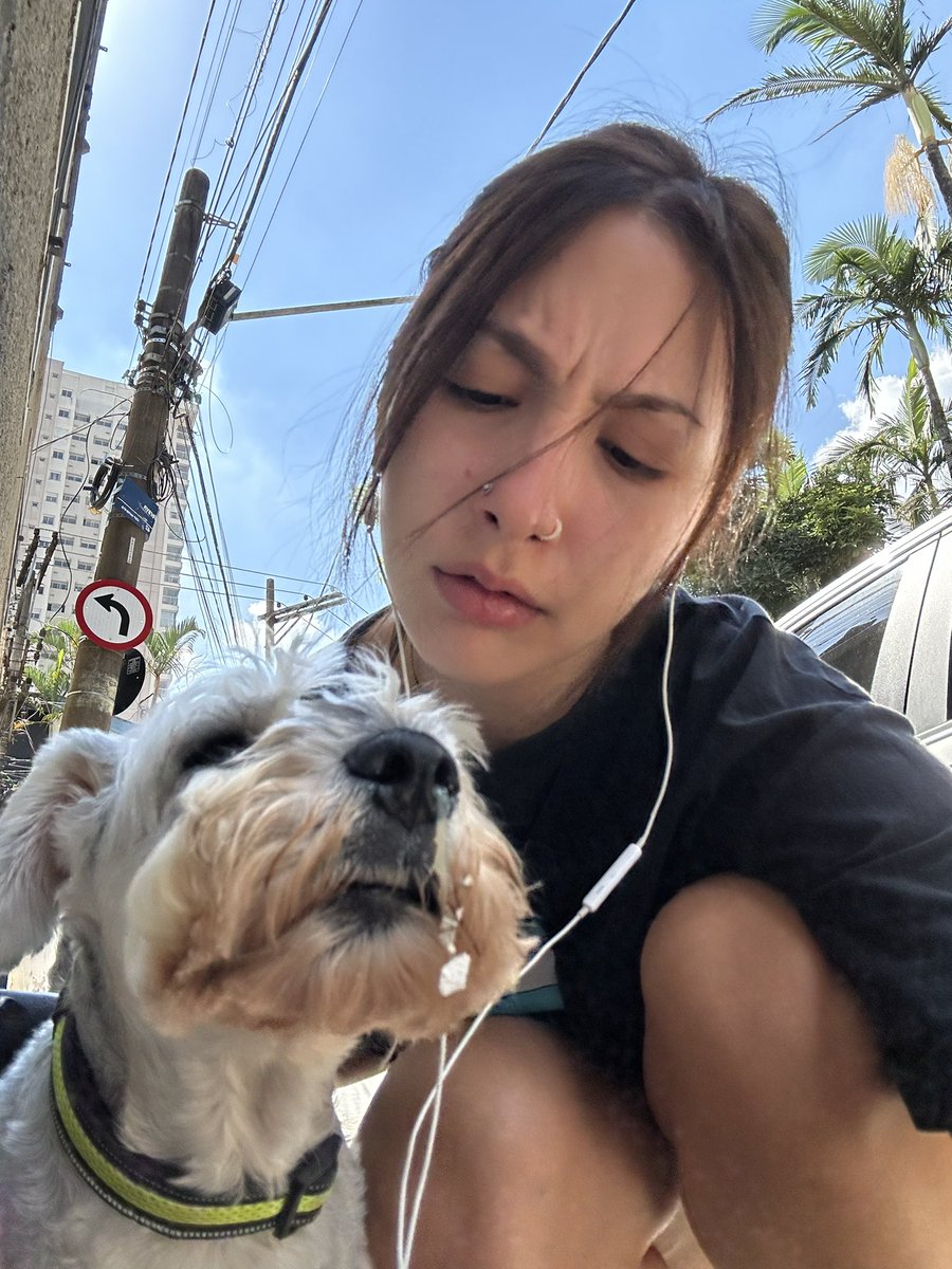 laurinha tweet media