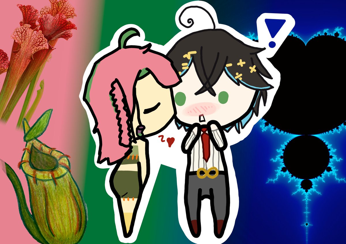 Aleph Mu 🧮🐈 アレフ • ミュー tweet media
