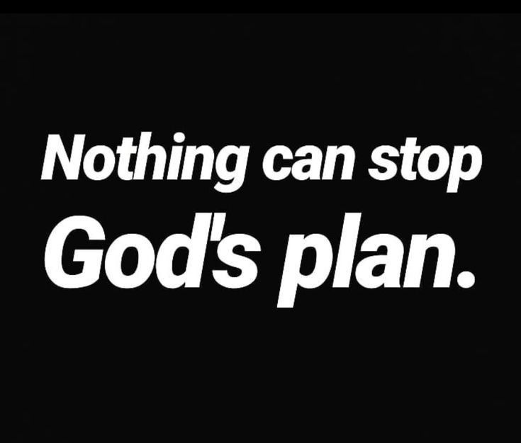 YEHI 'OHR tweet media