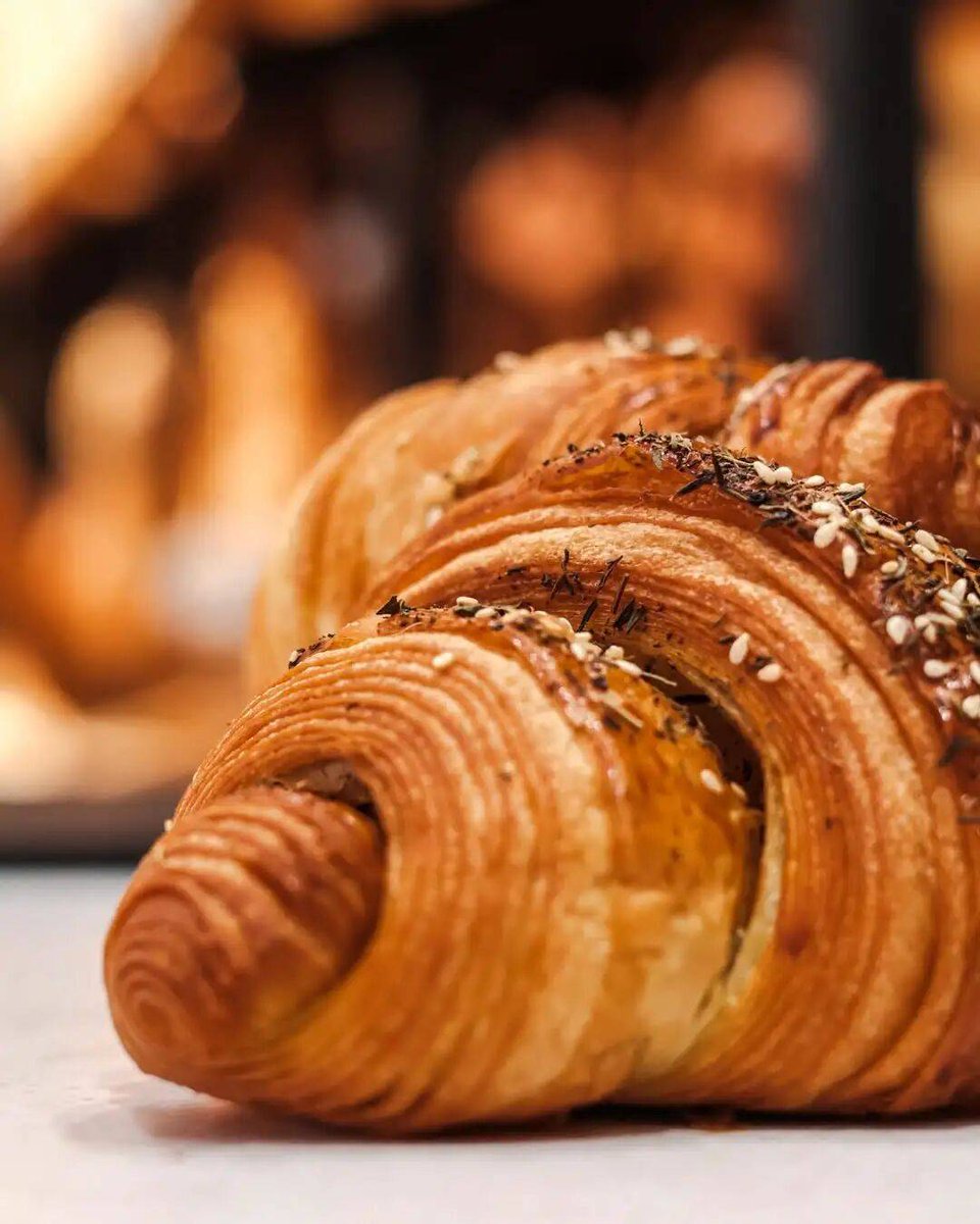 Charlotte tweet media