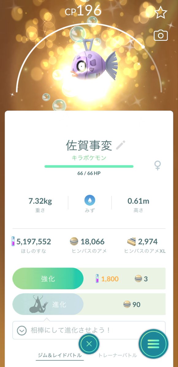 GO081526's tweet photo. MASAからMASAかの個体を貰いました‼️
分かりにくいけどキラライト色違い💯

本当にっっありがとうございます😭✨
#ヒンバスくらぶ
#繋がれ推しポケの輪 https://t.co/5OCyZ02xPX