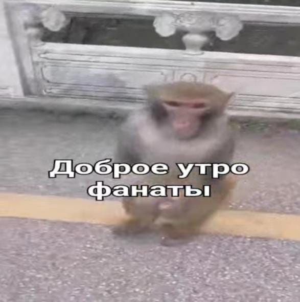 moonckeyl7 tweet media