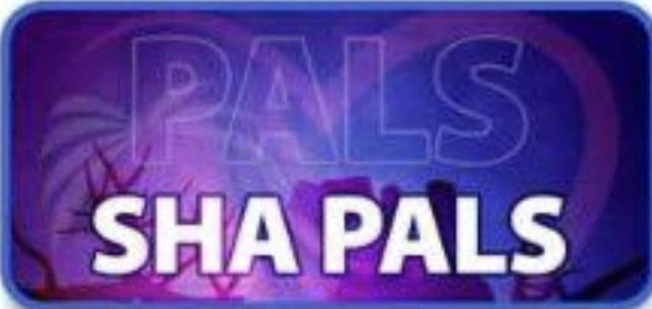 ECMT_SA's tweet image. SHA #PALS 
الاربعاء والخميس 
April 15_16,  2026
Shacpr.org.sa 
Experts Center for Medical Training 
00966504209827 
#Pediatrician #Pedia_Nurses 
#Anestheslogist #ER_RESIDENTS #PICU 
#KFMC #KSMC #KKUH
#KAUH
#PSMMC #PMAH #NGHA #SFH 
#الباقيات_الصالحات
#حقيقه_اقولها